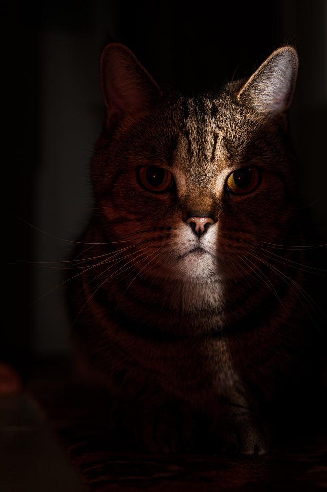 Photograph by Антон Грабовских