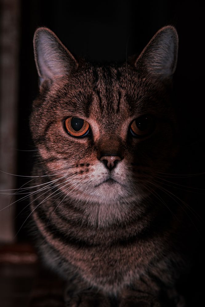 Photograph by Антон Грабовских