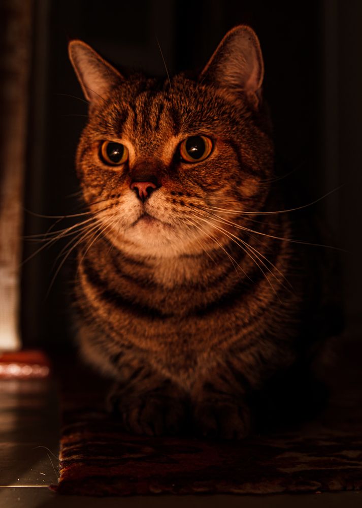 Photograph by Антон Грабовских