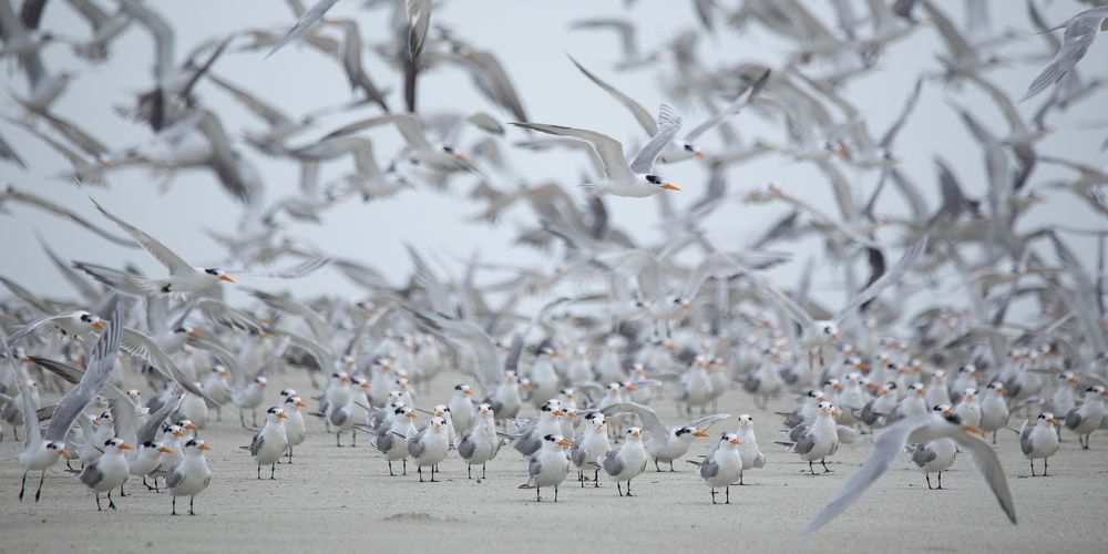 Photograph by Mineth Vismitha