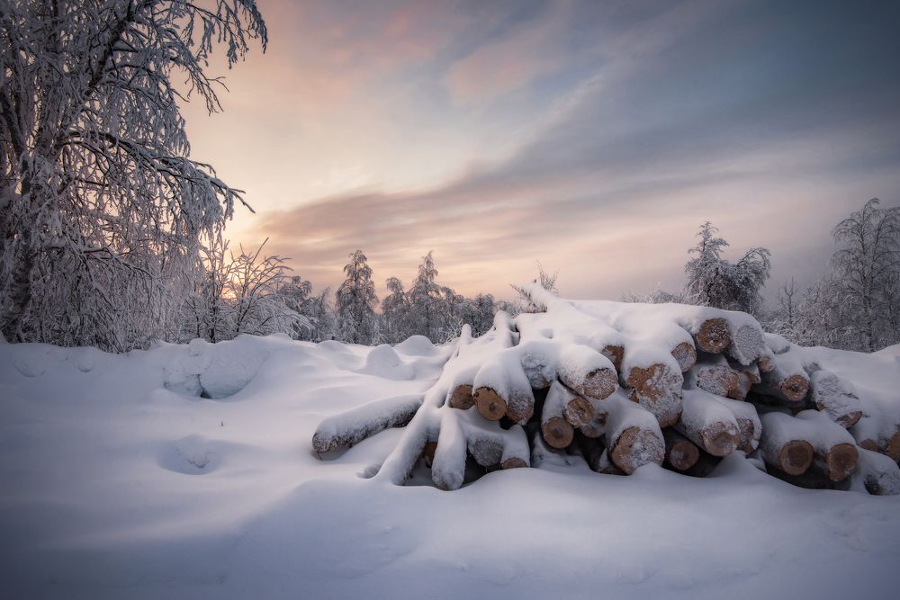 Photograph by Соколова Елена