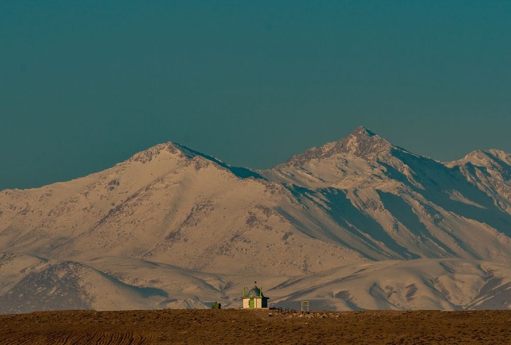 Фотография автора Milad Falahi