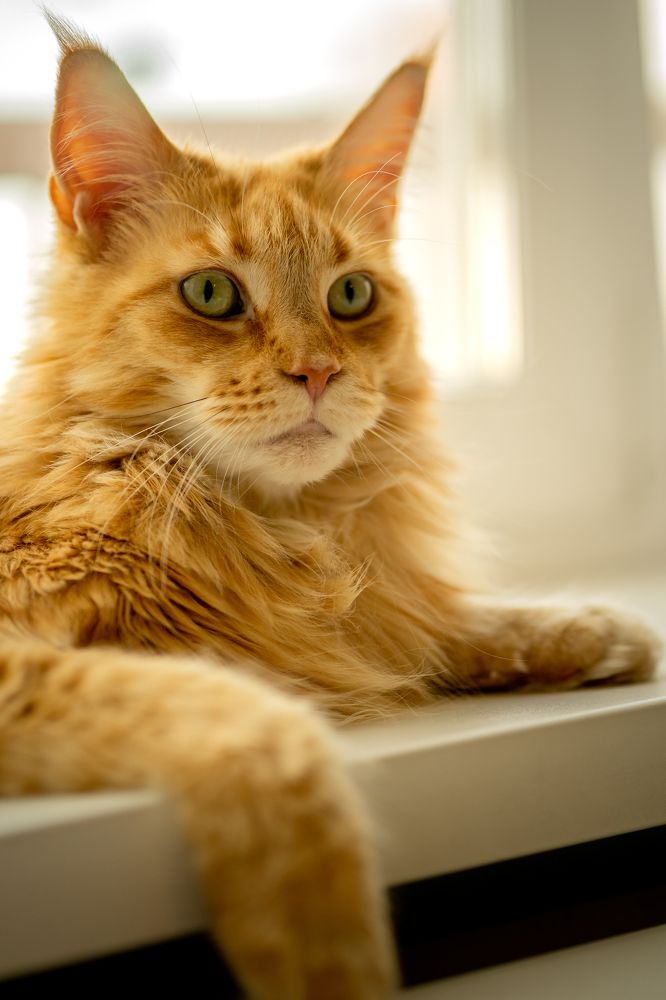 Photograph by Оксана Антипова