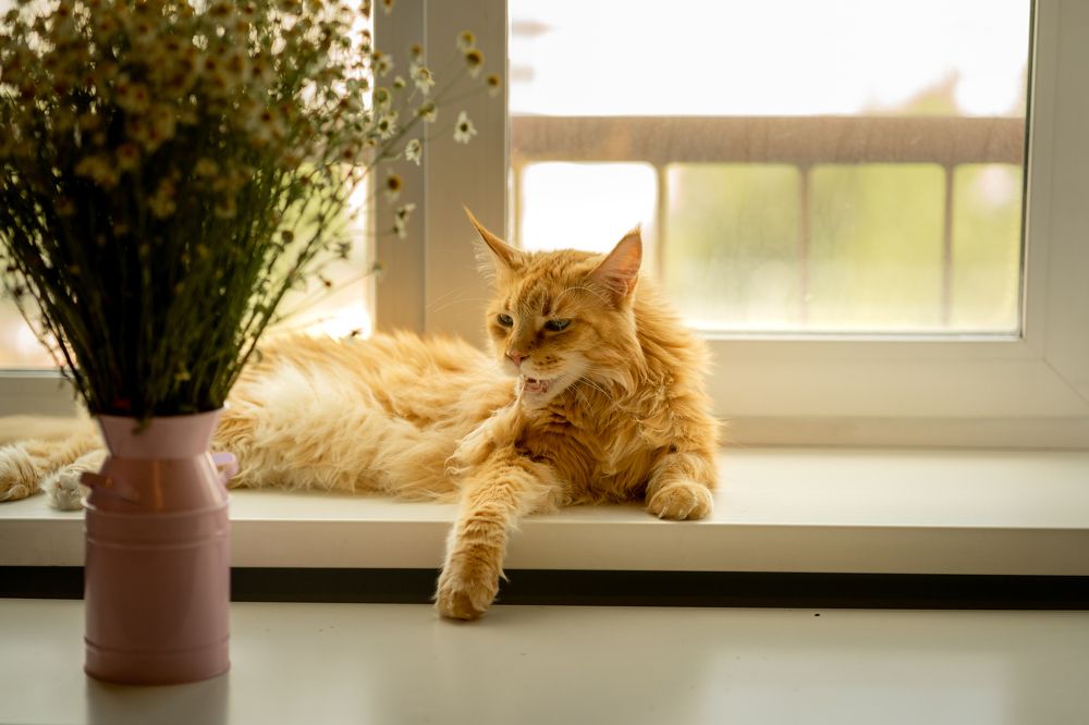 Photograph by Оксана Антипова