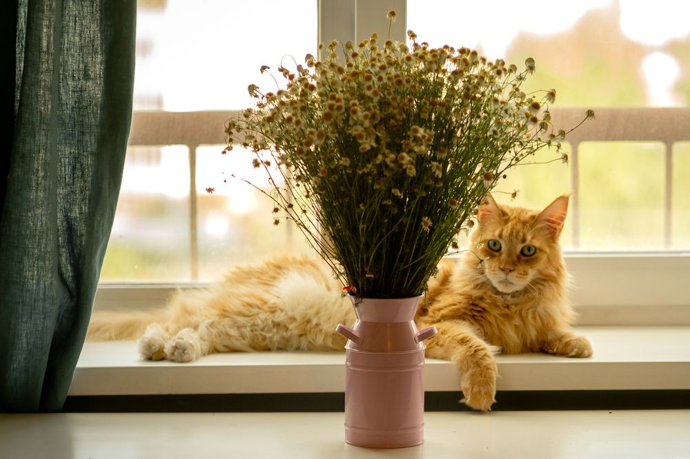 Photograph by Оксана Антипова