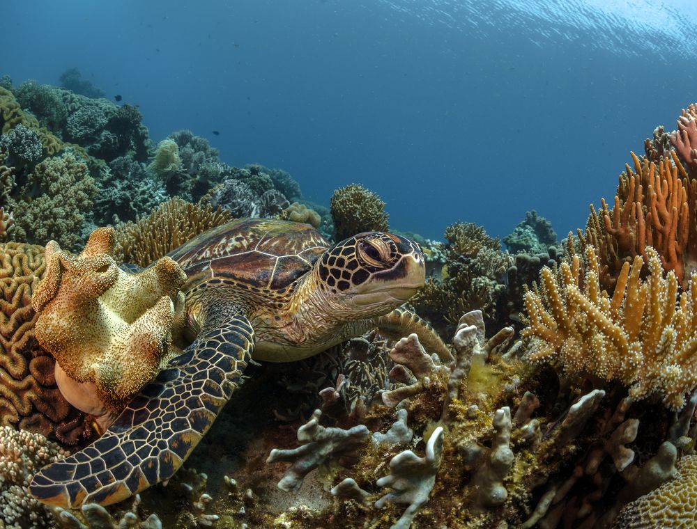 Photograph by Савин Андрей