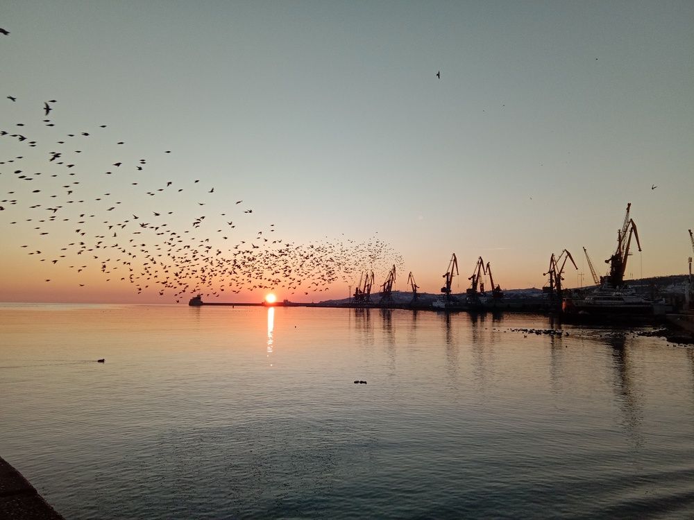 Photograph by Стаскевич Татьяна