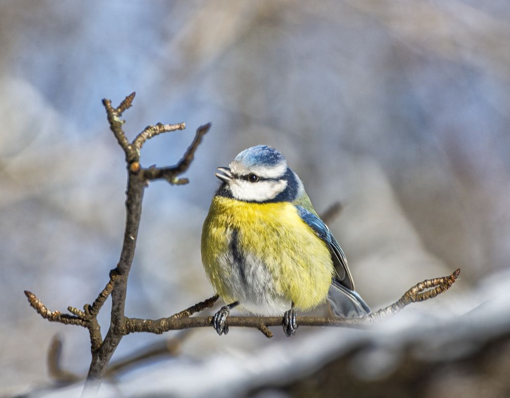 Photograph by Кирилл Аксенов