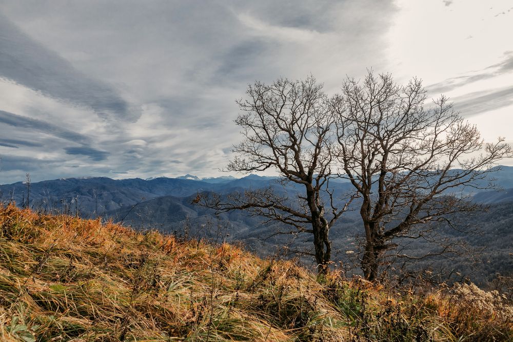 Photograph by Виталий Шкадинов