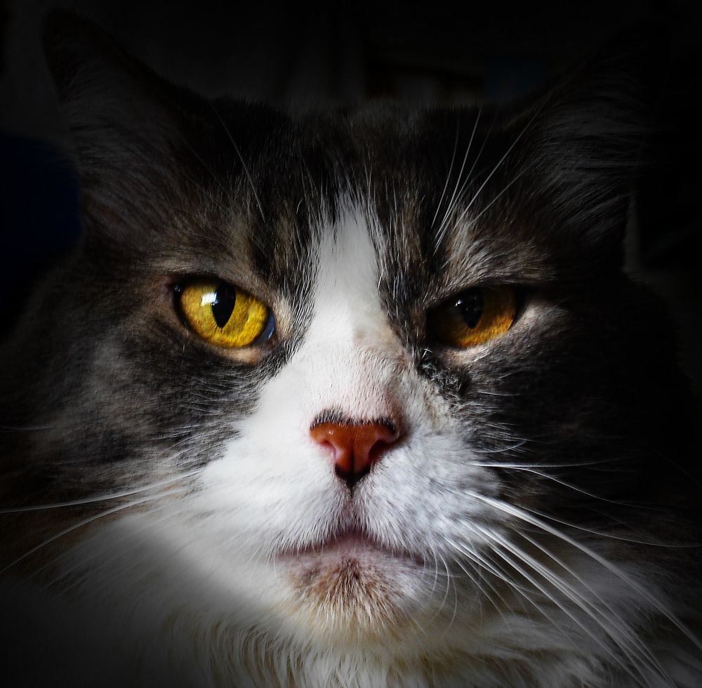 Photograph by Andrea Alcalá