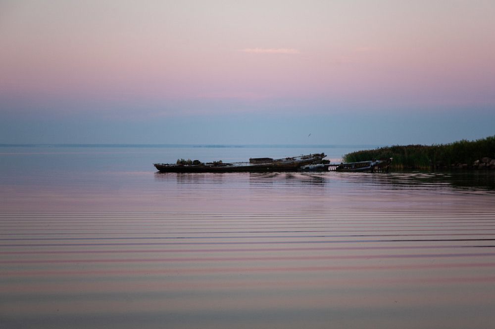 Безмятежное утро