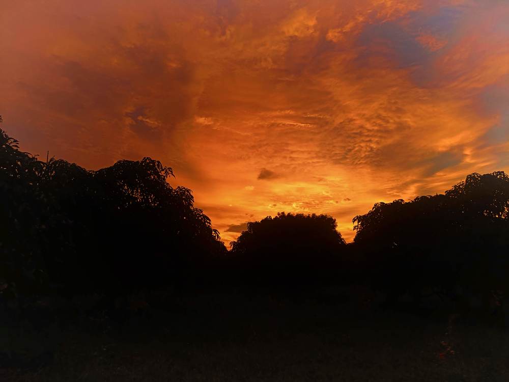 Photograph by Amrutesh Gopal