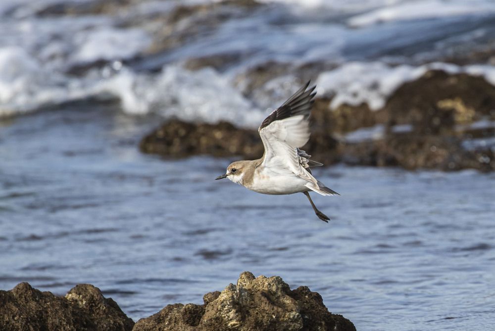 Photograph by Валентина Лопаткина