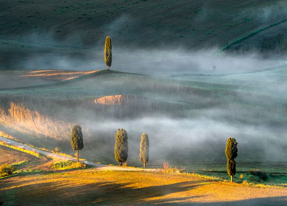 Photograph by Terebilov Andrey