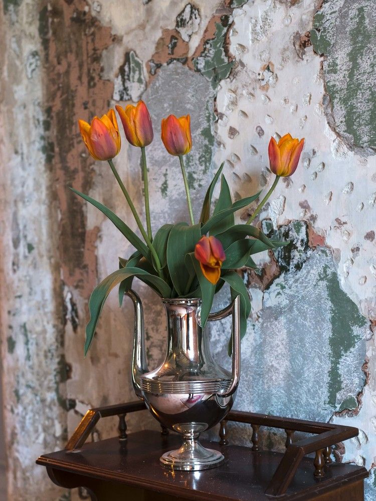 Photograph by Susanna Kari