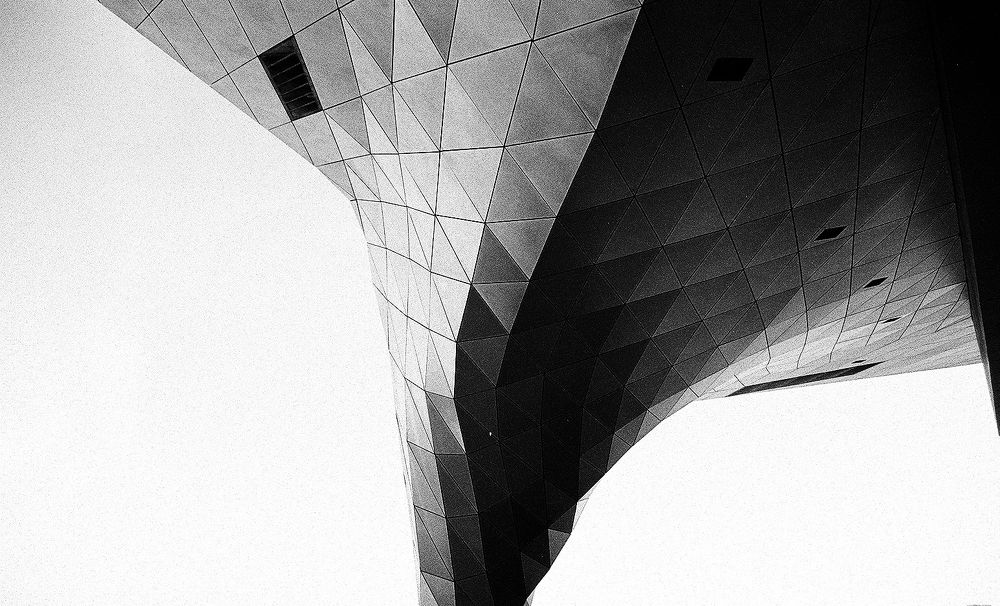 Photograph by Wajdi El zoghbi