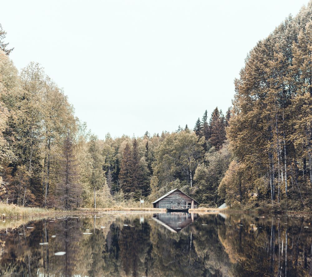 Photograph by Алексей Ромадов