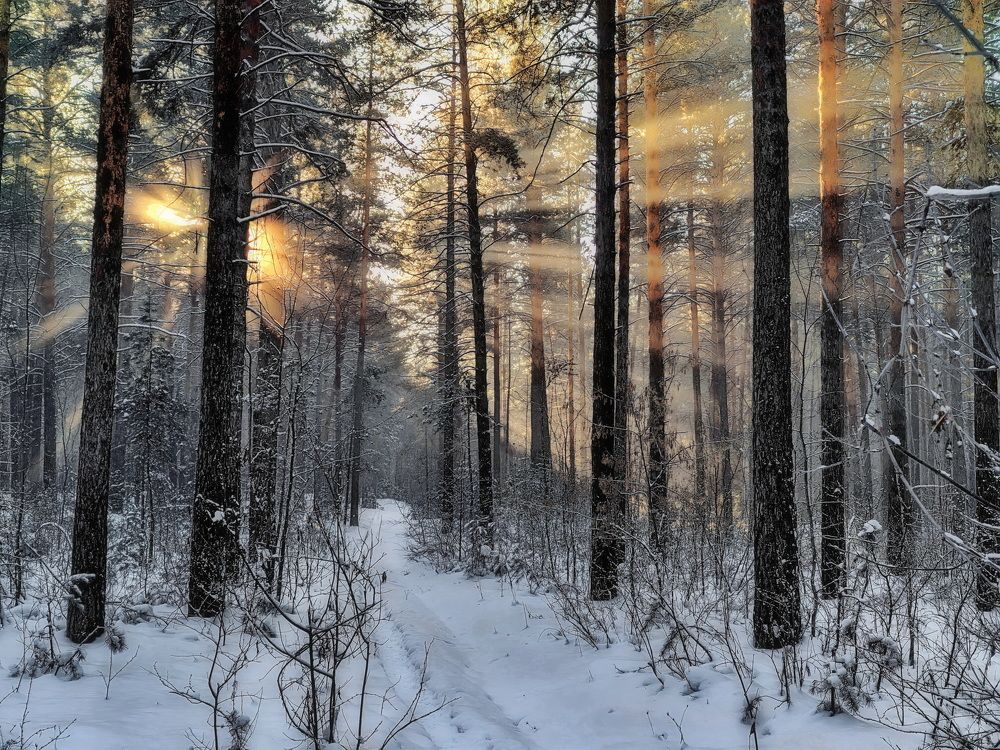 Photograph by Дмитрий Кузнецов