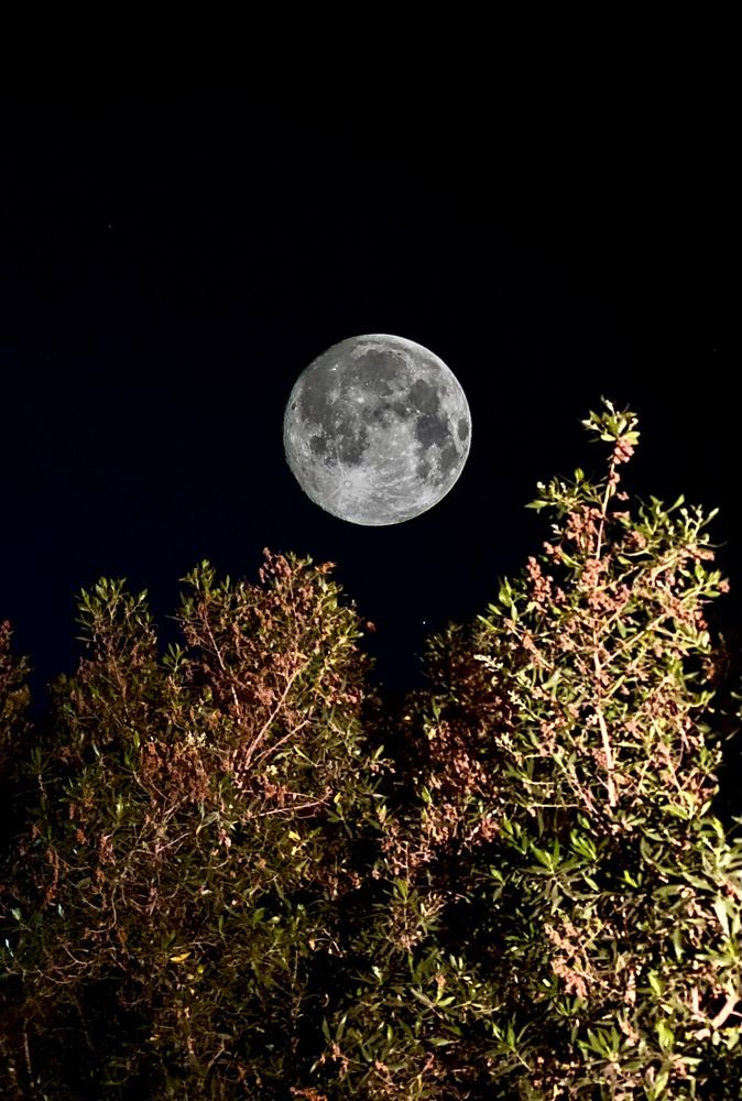 Photograph by Waleed Yousuf Alwahaibi