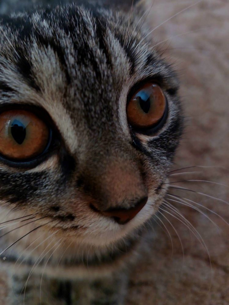 Photograph by Ольга