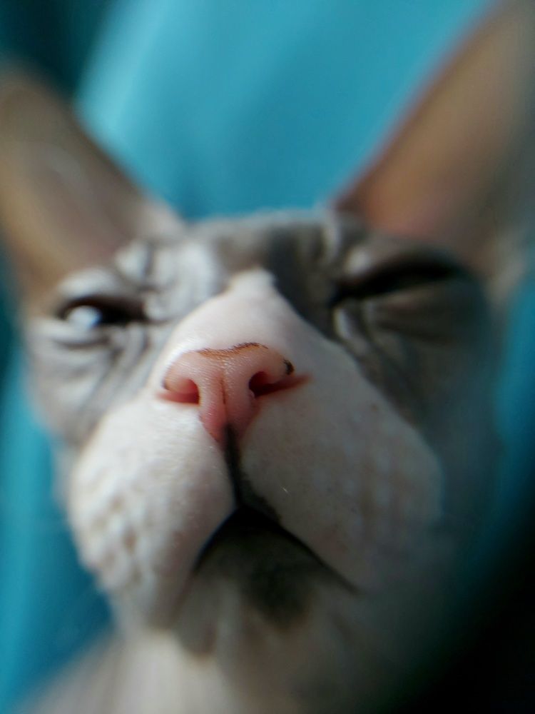 Photograph by Ольга