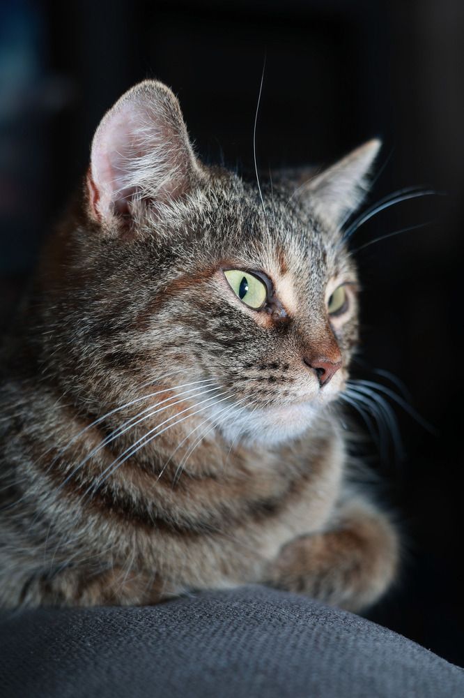 Photograph by Любовь Яковлева