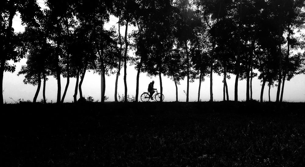 Photo #8814854