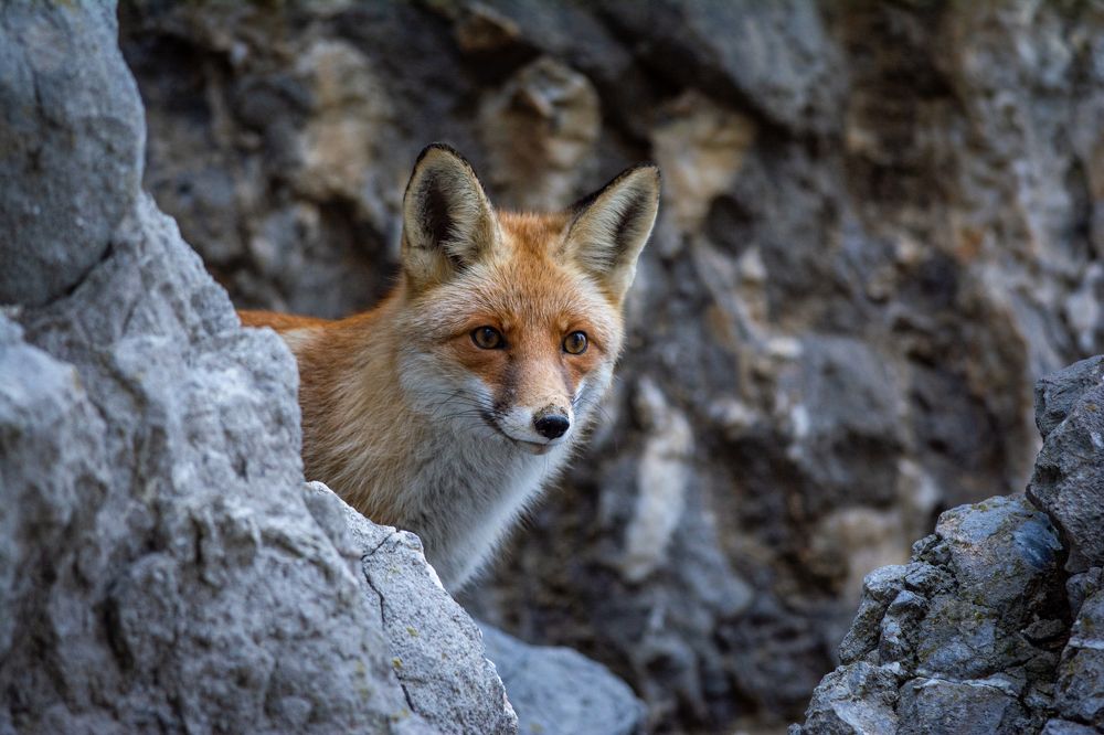 Photograph by Dyakon Zhora