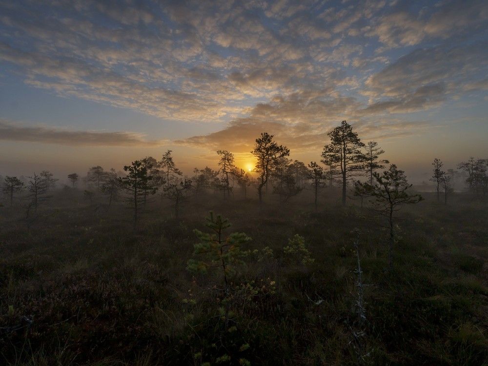 Photograph by Susanna Kari