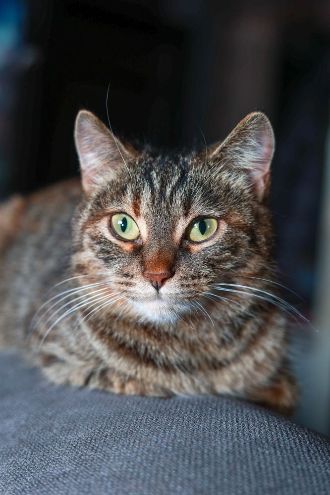 Photograph by Любовь Яковлева