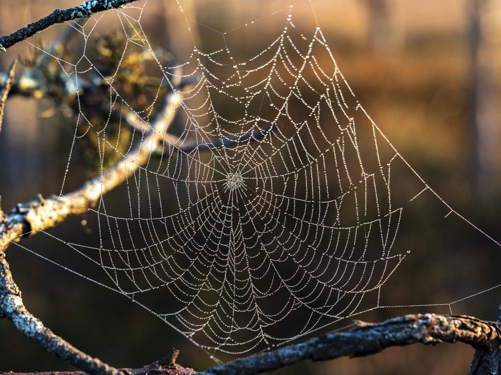 Photograph by Susanna Kari