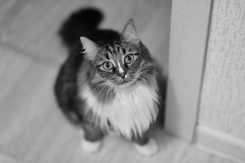 Фотография автора Татьяна Васильева