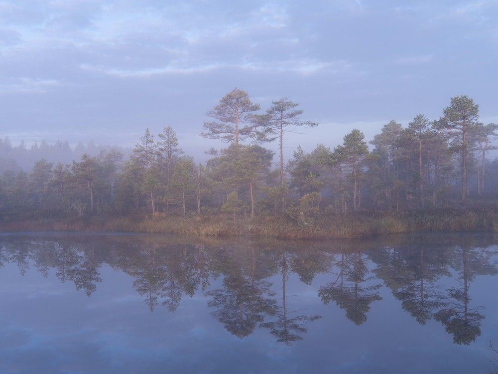 Photograph by Susanna Kari