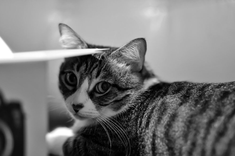 Фотография автора Татьяна Васильева