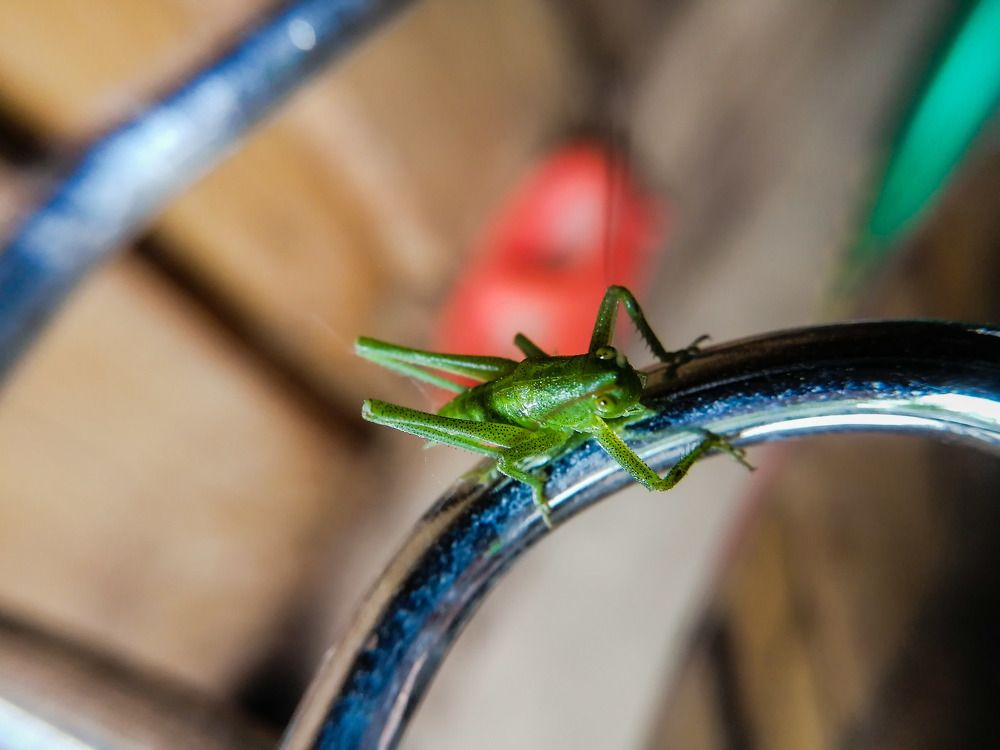 Photograph by Дарья