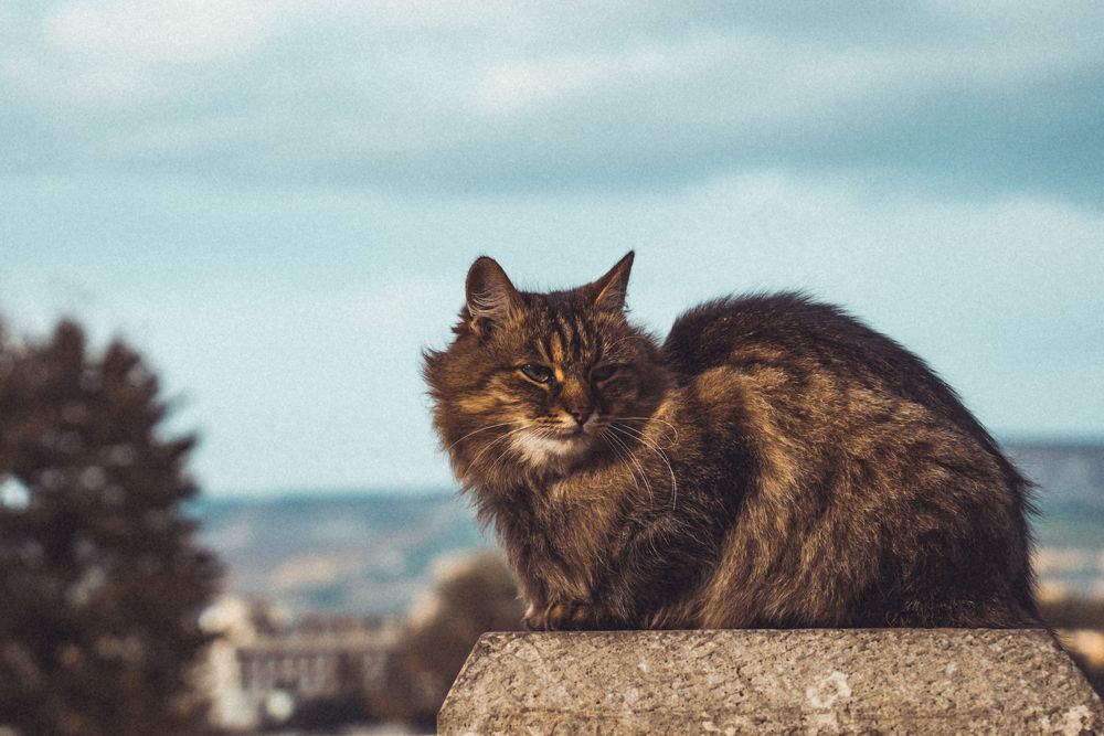 Photograph by Екатерина
