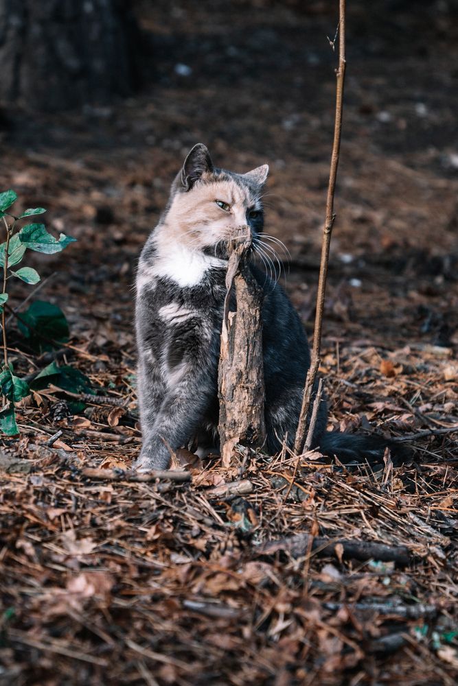 Photograph by Екатерина