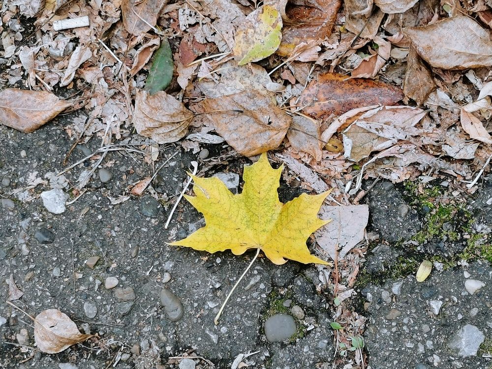 Photograph by Калинина Анастасия