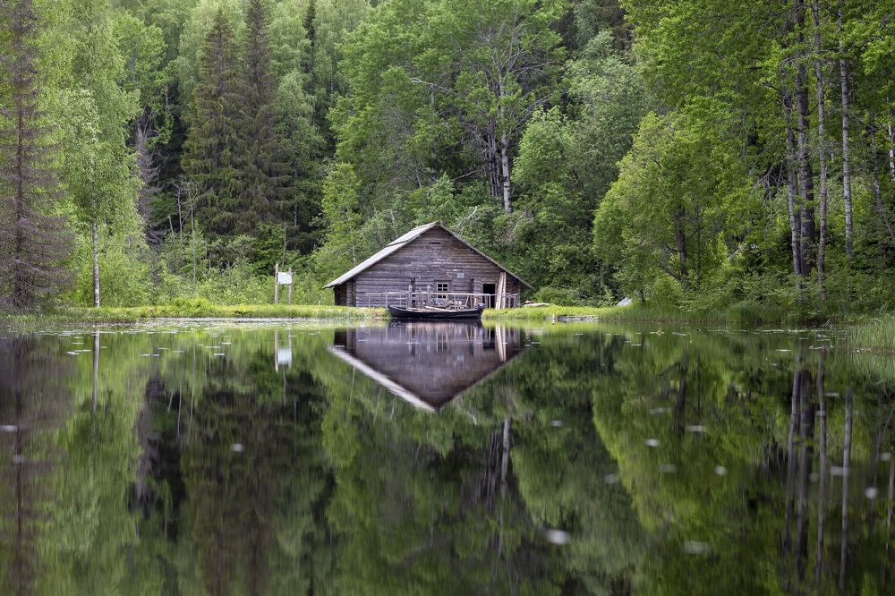 Photograph by Алексей Ромадов