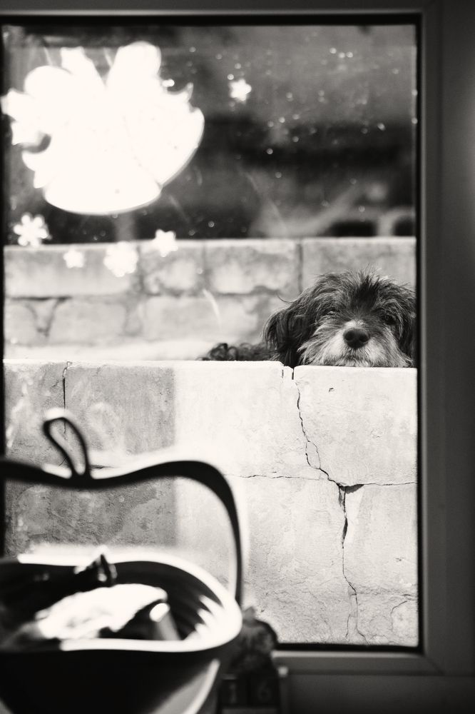 Photograph by Тарасов Михаил Игоревич