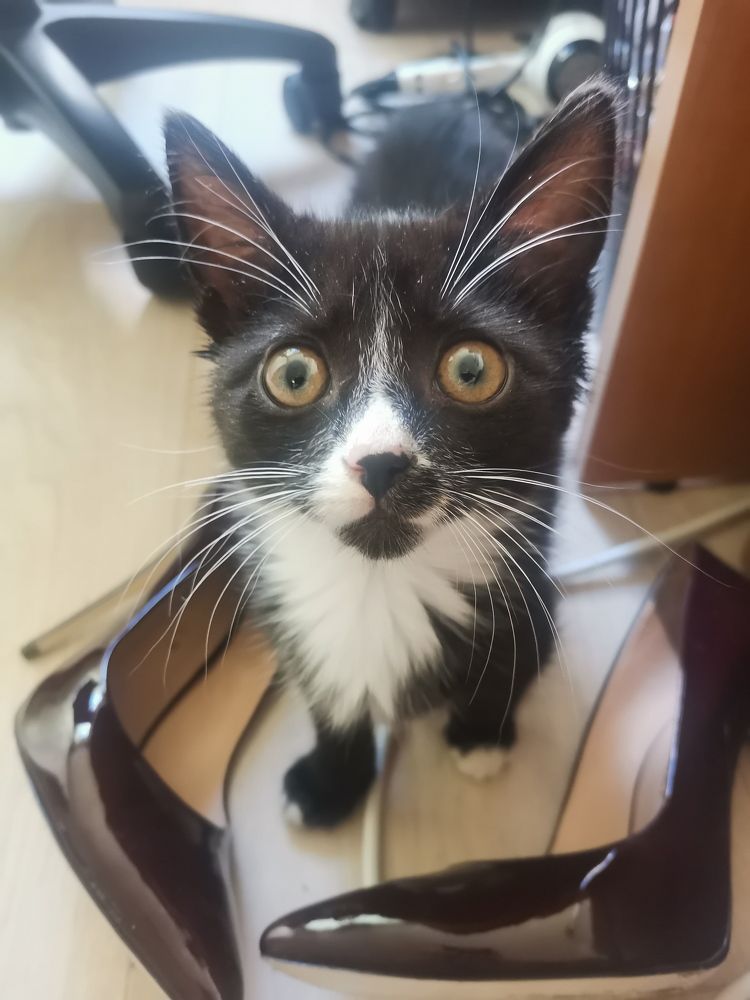 Фотография автора Наталья