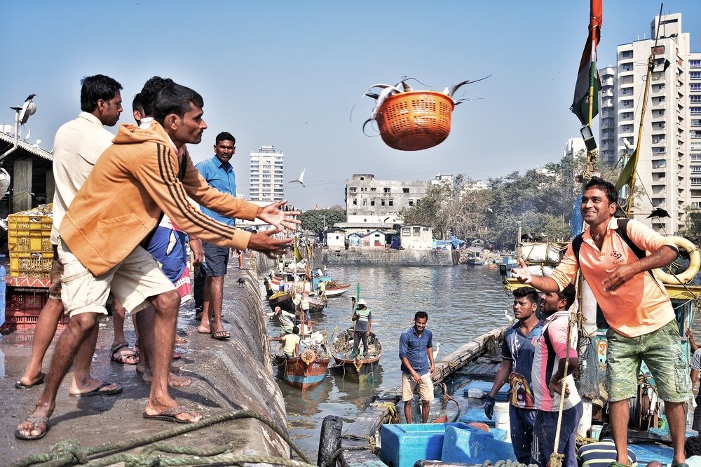 Photograph by Anirban Karmakar