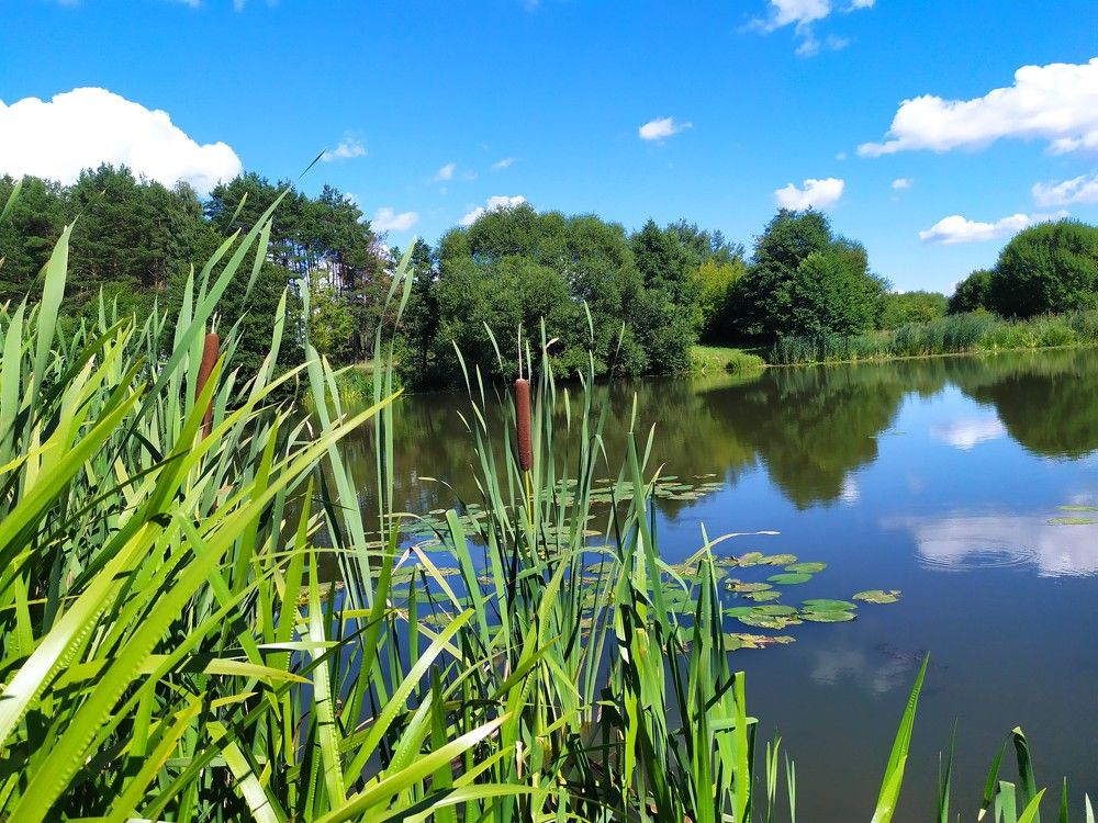 Photograph by Людмила Муравьева