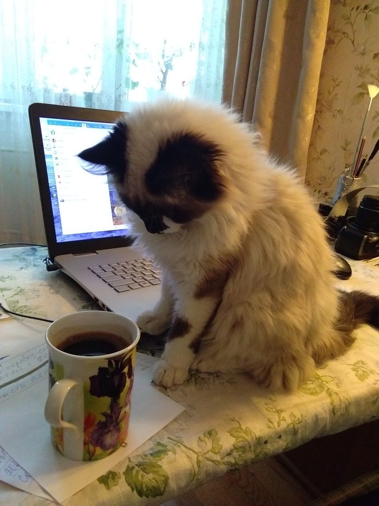 Photograph by Наталья Жигарева