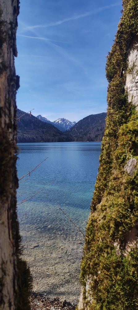 Photograph by Юлия Коваль