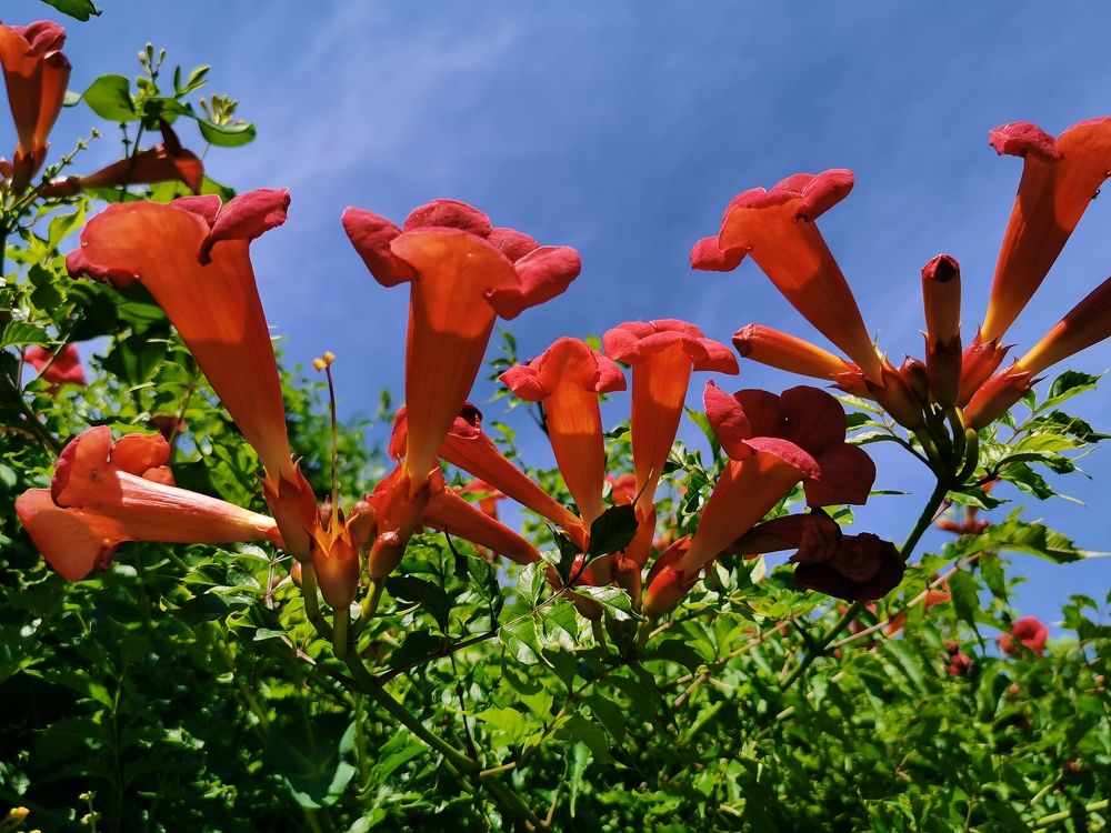 Photograph by Калинина Анастасия