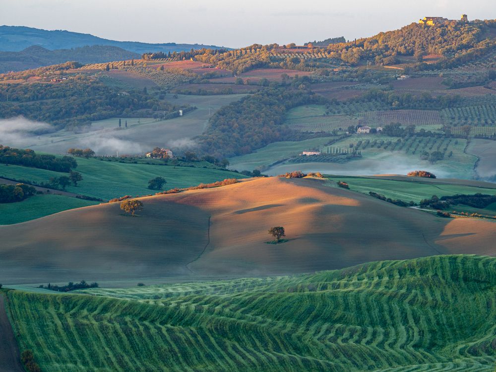 Photograph by Terebilov Andrey