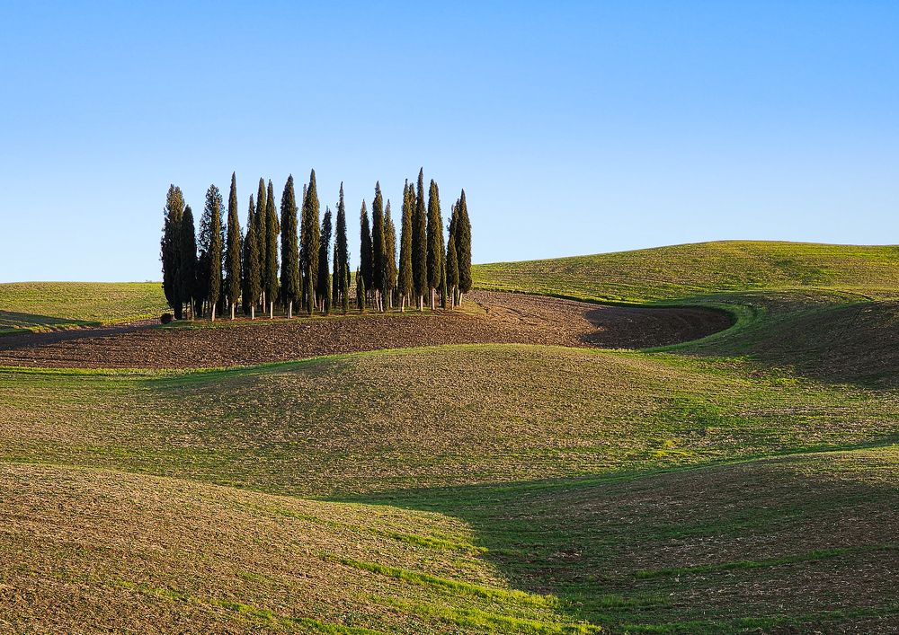 Photograph by Terebilov Andrey