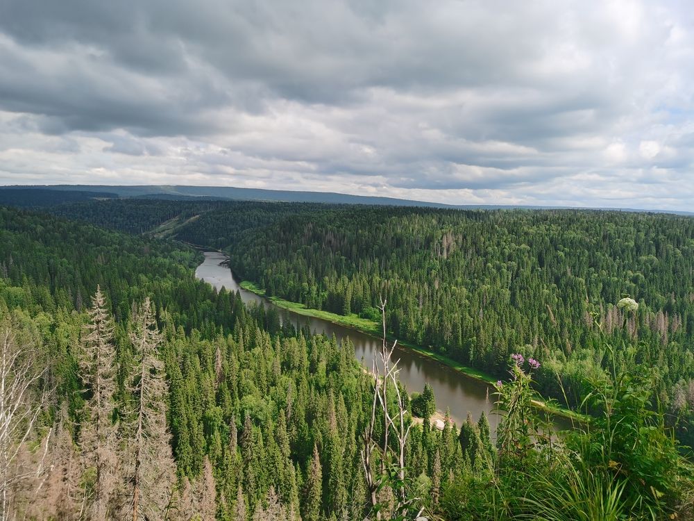 Photograph by Анастасия Мальцева