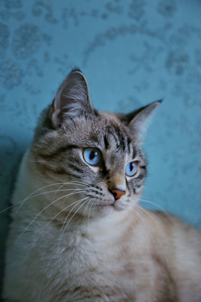 Photograph by Лев Кауфман